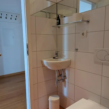 Appartement Exklusive Familienoase Mit Dachterrasse Und Sauna Magdebourg