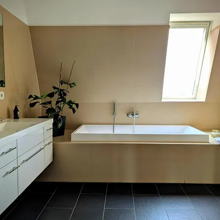 Exklusive Familienoase Mit Dachterrasse Und Sauna * Magdebourg