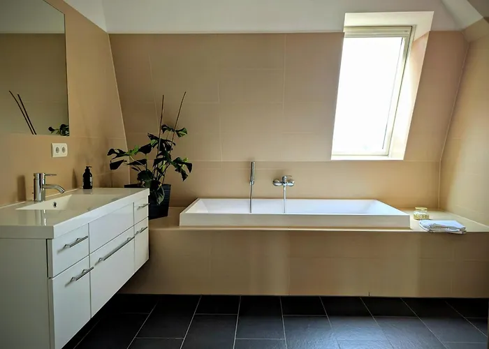 Exklusive Familienoase Mit Dachterrasse * Maagdenburg